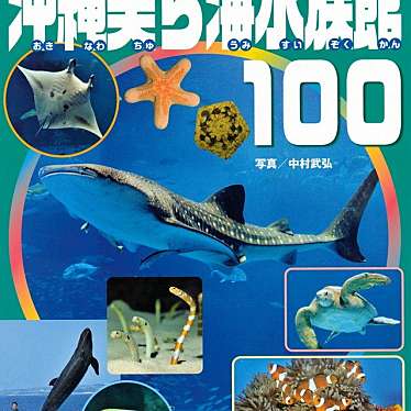 沖縄美ら海水族館のundefinedに実際訪問訪問したユーザーunknownさんが新しく投稿した新着口コミの写真