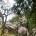 実際訪問したユーザーが直接撮影して投稿した赤穂寺光前寺の写真