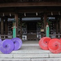 実際訪問したユーザーが直接撮影して投稿した吉野山神社吉野神宮の写真