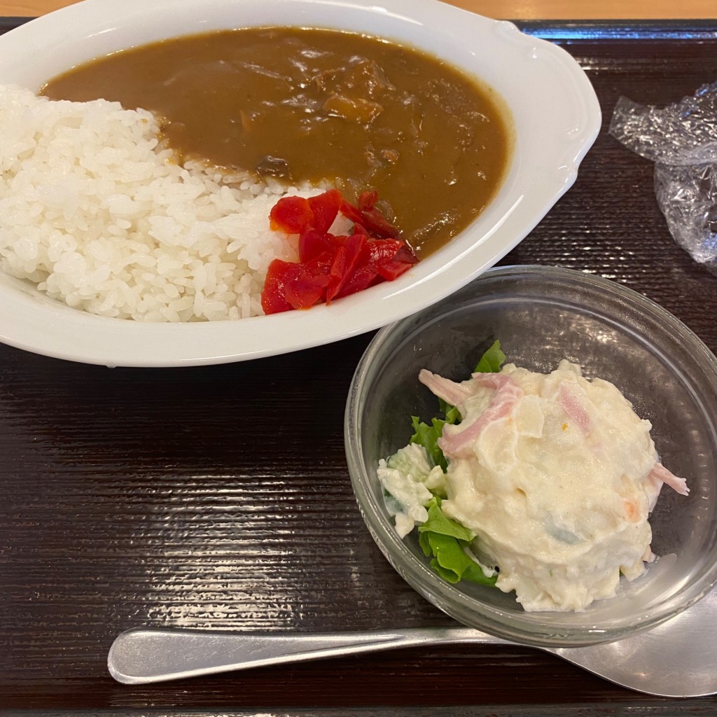 ユーザーが投稿したカレーライスの写真 - 実際訪問したユーザーが直接撮影して投稿した袋町定食屋まいどおおきに食堂 広島袋町食堂の写真