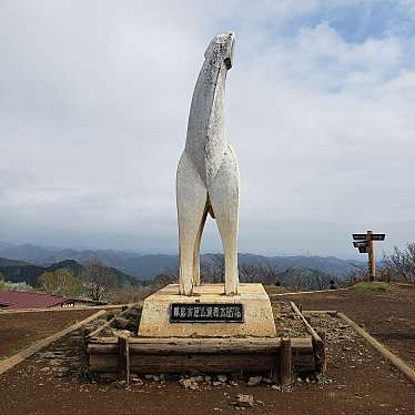 実際訪問したユーザーが直接撮影して投稿した山 / 峠陣馬山の写真