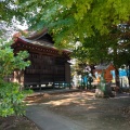 実際訪問したユーザーが直接撮影して投稿した中沢神社正八幡神社の写真