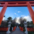 実際訪問したユーザーが直接撮影して投稿した鵠沼海岸神社鵠沼伏見稲荷神社の写真
