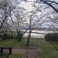 実際訪問したユーザーが直接撮影して投稿した中島公園宮川堤公園の写真