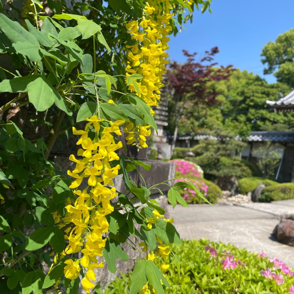 実際訪問したユーザーが直接撮影して投稿した前飛保町寺町寺修造院の写真