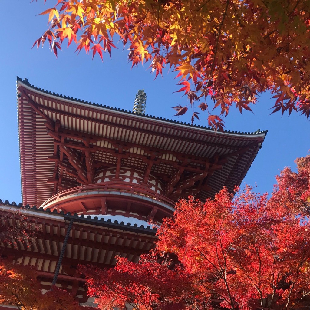 経巡鯉画龍さんが投稿した成田公園のお店成田山公園/ナリタサンコウエンの写真