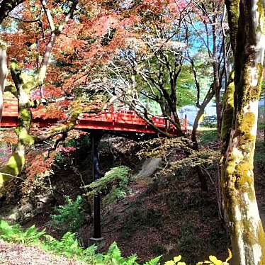 養父神社のundefinedに実際訪問訪問したユーザーunknownさんが新しく投稿した新着口コミの写真