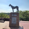 実際訪問したユーザーが直接撮影して投稿した根岸台博物館馬の博物館の写真