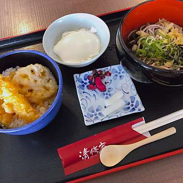 実際訪問したユーザーが直接撮影して投稿した嵯峨天龍寺造路町和食 / 日本料理かづら野 清修庵 嵐山店の写真