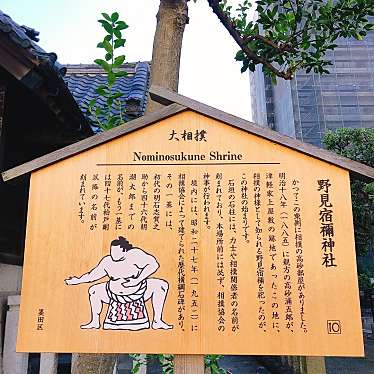 実際訪問したユーザーが直接撮影して投稿した亀沢神社野見宿禰神社の写真