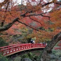 実際訪問したユーザーが直接撮影して投稿した岩屋町公園岩屋堂公園の写真