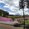 実際訪問したユーザーが直接撮影して投稿した大宮公園羊山公園の写真