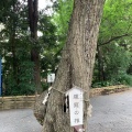 実際訪問したユーザーが直接撮影して投稿した西ケ原神社七社神社の写真