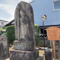 実際訪問したユーザーが直接撮影して投稿した本行徳寺浄閑寺の写真