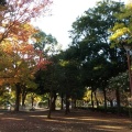 実際訪問したユーザーが直接撮影して投稿した保木間公園元渕江公園の写真