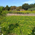 実際訪問したユーザーが直接撮影して投稿した佐味田公園県営馬見丘陵公園の写真