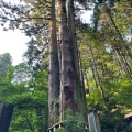 実際訪問したユーザーが直接撮影して投稿した入四間町神社御岩神社の写真