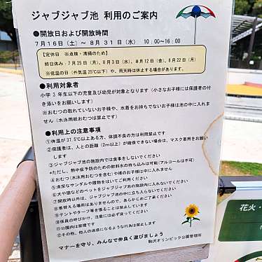 実際訪問したユーザーが直接撮影して投稿した駒沢公園駒沢オリンピック公園 ジャブジャブ池の写真