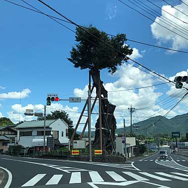 実際訪問したユーザーが直接撮影して投稿した自然名所原町の大ケヤキの写真