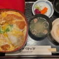 ひれかつ丼 - 実際訪問したユーザーが直接撮影して投稿した三園平定食屋めしや仲とよの写真のメニュー情報