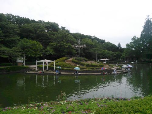 実際訪問したユーザーが直接撮影して投稿した上野田公園さぎ山記念公園の写真