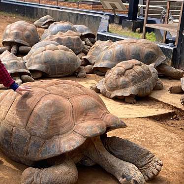 体感型動物園 iZooのundefinedに実際訪問訪問したユーザーunknownさんが新しく投稿した新着口コミの写真