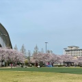 実際訪問したユーザーが直接撮影して投稿した御崎町公園御崎公園の写真