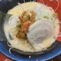 ねぎラーメン - 実際訪問したユーザーが直接撮影して投稿した日吉町ラーメン専門店長崎らーめん 西海製麺所 府中店の写真のメニュー情報