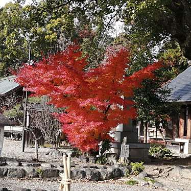 実際訪問したユーザーが直接撮影して投稿した尾末町神社滋賀県護国神社の写真