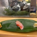 握り - 実際訪問したユーザーが直接撮影して投稿した豊洲寿司寿司処 やまざきの写真のメニュー情報
