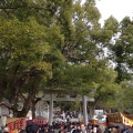 実際訪問したユーザーが直接撮影して投稿した大麻町板東神社大麻比古神社の写真