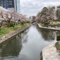 実際訪問したユーザーが直接撮影して投稿した本丸公園富山城址公園の写真