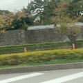 実際訪問したユーザーが直接撮影して投稿した麹町公園千鳥ヶ淵公園の写真