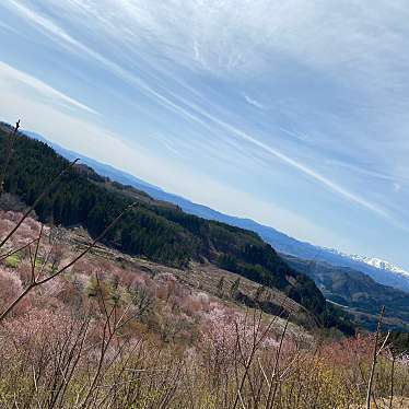 実際訪問したユーザーが直接撮影して投稿した大塩山 / 峠桜峠の写真