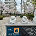 実際訪問したユーザーが直接撮影して投稿した東浅草公園山谷堀公園の写真