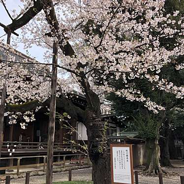 靖国神社のundefinedに実際訪問訪問したユーザーunknownさんが新しく投稿した新着口コミの写真