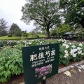 実際訪問したユーザーが直接撮影して投稿した水前寺公園神社出水神社の写真