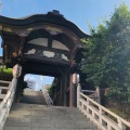 実際訪問したユーザーが直接撮影して投稿した湯島神社湯島天神の写真