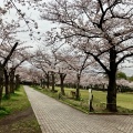 実際訪問したユーザーが直接撮影して投稿した公園宝野公園の写真