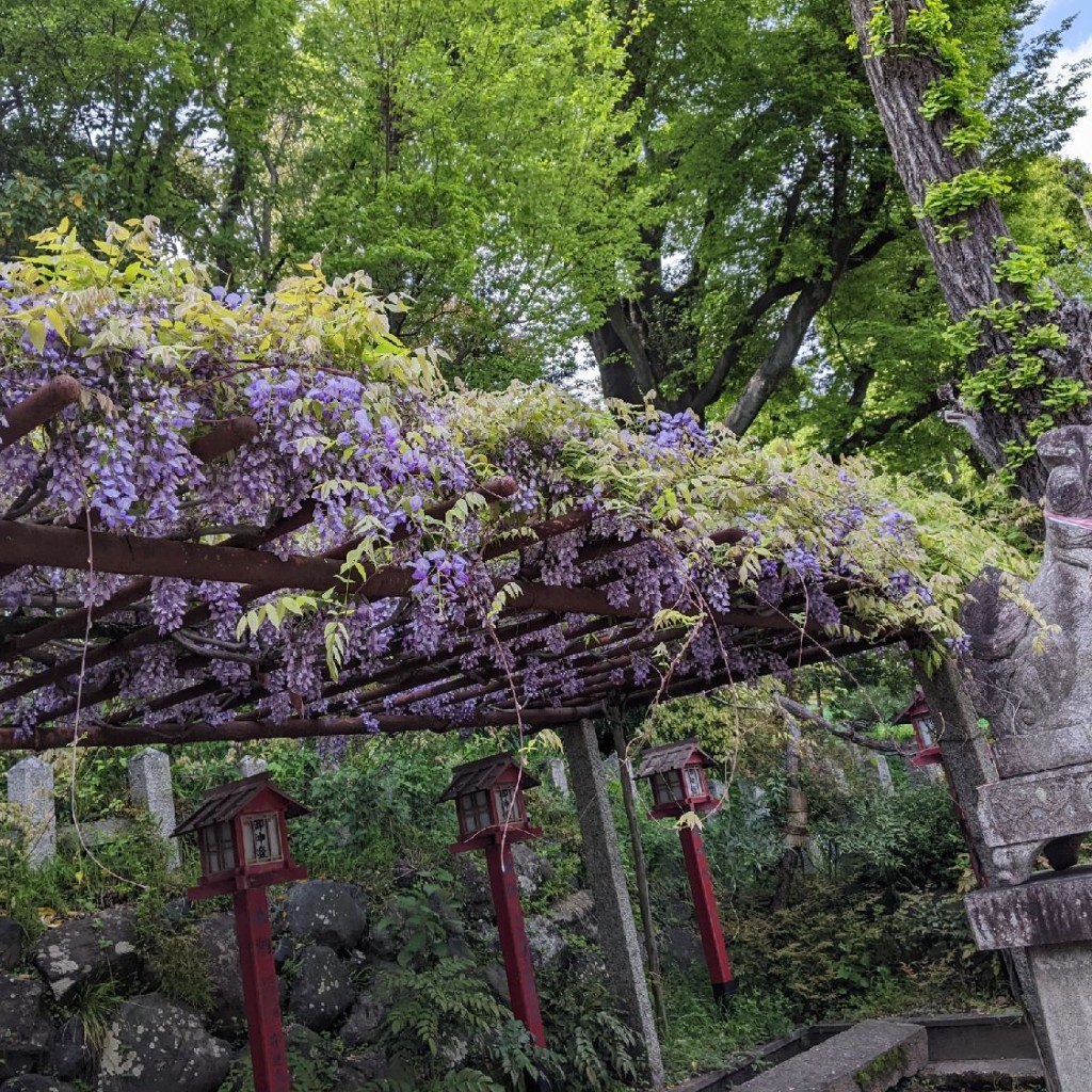 実際訪問したユーザーが直接撮影して投稿した元町神社茨木神社の写真