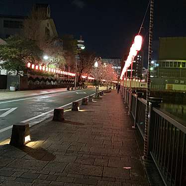 実際訪問したユーザーが直接撮影して投稿した駿府城公園歴史 / 遺跡駿府城二ノ丸 巽櫓の写真