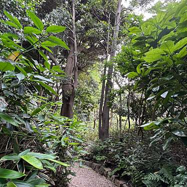 実際訪問したユーザーが直接撮影して投稿した岡本公園岡本静嘉堂緑地の写真