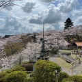 実際訪問したユーザーが直接撮影して投稿した千手町公園千手山公園の写真