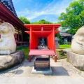 実際訪問したユーザーが直接撮影して投稿した屋島東町寺さぬき百景 屋島寺の写真
