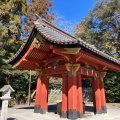 実際訪問したユーザーが直接撮影して投稿した雪ノ下神社鶴岡八幡宮 手水舎の写真