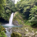 実際訪問したユーザーが直接撮影して投稿した湯ケ島滝 / 渓谷浄蓮の滝の写真