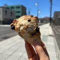 シナモン(3種のナッツ&レーズン) - 実際訪問したユーザーが直接撮影して投稿した北四条東カフェBird Bake Shopの写真のメニュー情報