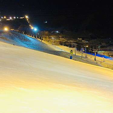 Hiro-Sakuさんが投稿した高鷲町西洞スキー場のお店ダイナランド/ダイナランドスキージョウの写真