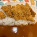 チキンカツカレー - 実際訪問したユーザーが直接撮影して投稿した西新宿カレーカレーハウス11イマサの写真のメニュー情報