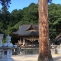 実際訪問したユーザーが直接撮影して投稿した六本木神社出雲大社東京分祠の写真